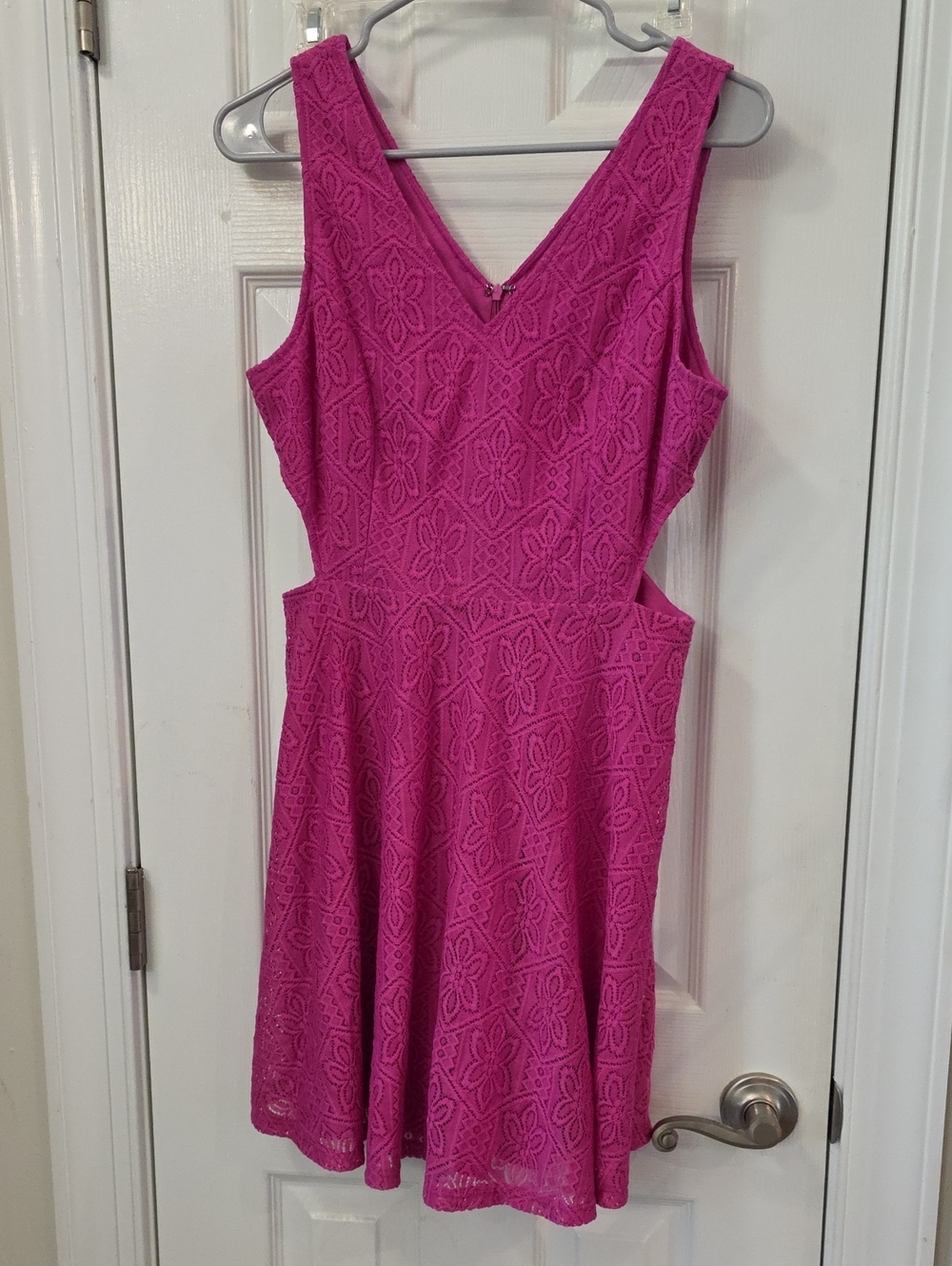 Francesca's Collections Bright Fuchsia Lace Cutout Mini Dress